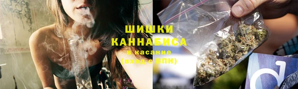 дурь Пересвет