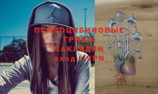 дурь Пересвет
