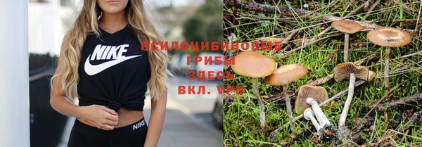 бошки Пестово