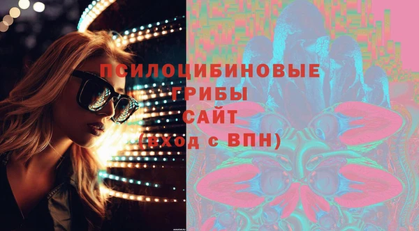 мяу мяу мука Переславль-Залесский